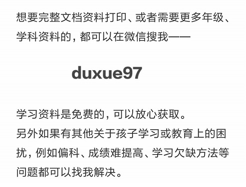 主人已将艾特遗体带回家英文，一场关于爱与别离的深思