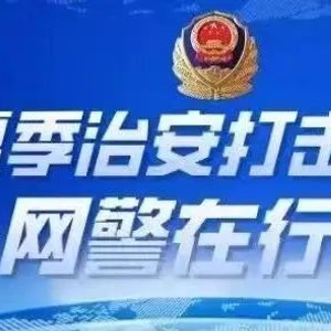 公安网安｜净网2024取得显著成效