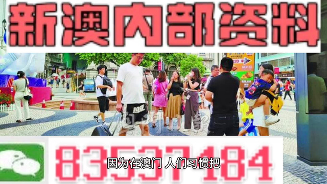 2024澳门精准正版图库,实地数据解释定义_挑战版20.235